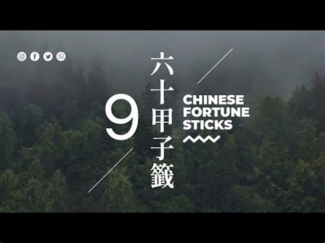 龍虎相隨在深山治病